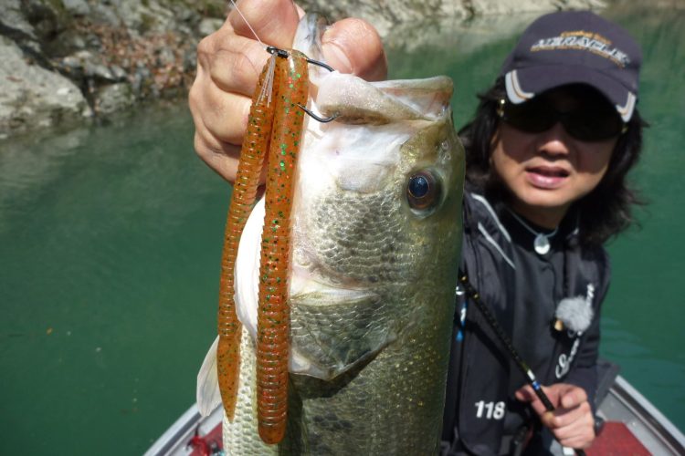 釣りのイメージ