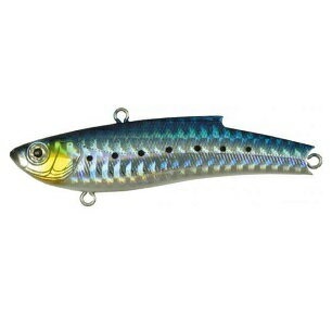 バスデイ(Bassday) レンジバイブ