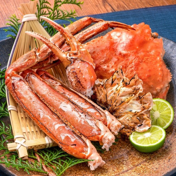 魚介類のイメージ