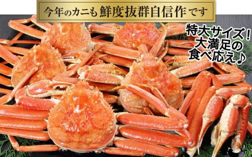海鮮カニ処 ボイルずわい姿5～6杯 約3kg