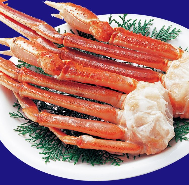 魚介類のイメージ