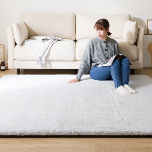 ニトリ(NITORI) 極厚30mmウレタン入り 吸湿発熱+蓄熱+保湿+防音+防汚加工+防ダニ加工ラグ 2113100018115