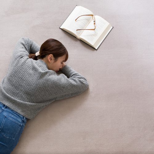 ニトリ(NITORI) 洗える 吸湿発熱+蓄熱+保湿 + 抗菌防臭加工+防ダニ加工ラグ 2113100017835