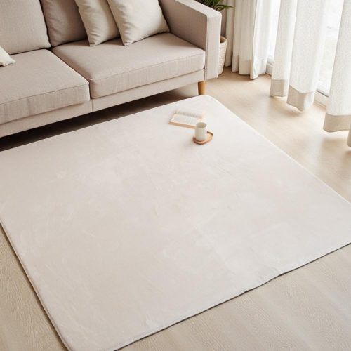 ドリームスポット 吸湿発熱ラグ sup644