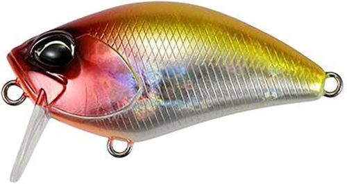 デュオ(DUO) レアリスクランク 50SSR カブキ