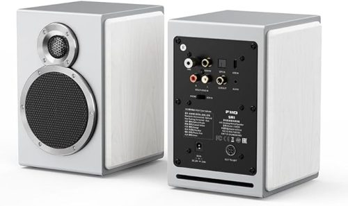 フィーオ(FiiO) SA1 FIO-SA1