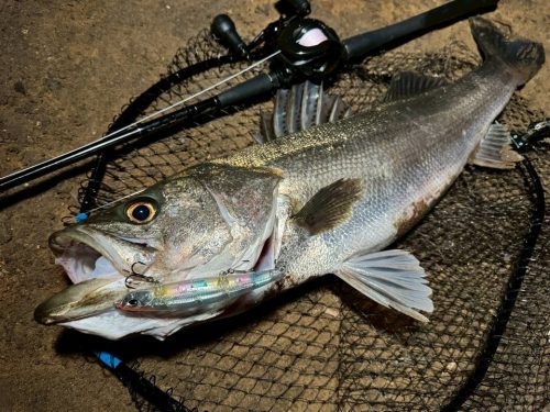 DUOのルアーおすすめ36選。国内生産によるクオリティの高さが魅力