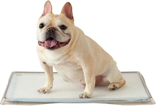 OFT クリアレットクーペ