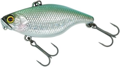 ディスタイル(DSTYLE) TN50 TypeD RS