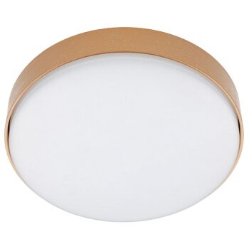 ニトリ(NITORI) LEDミニシーリングライト