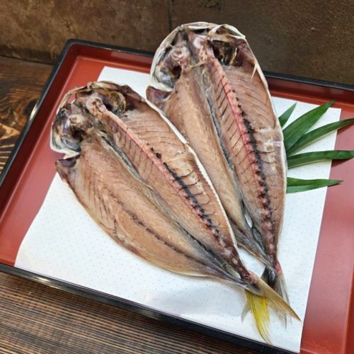 釜鶴 あかぜむろあじ