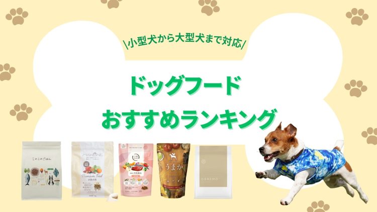 【2026年版】ドッグフードのおすすめランキング。獣医師が選び方を徹底解説