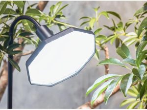 植物育成ライトのおすすめ13選。LEDライトを採用しているモデルもご紹介