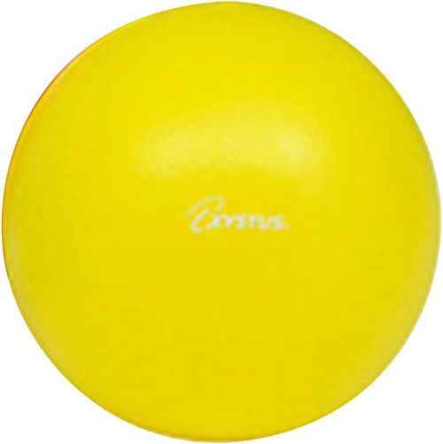 トーエイライト(TOEI LIGHT) ピラティスボール200 H-9345