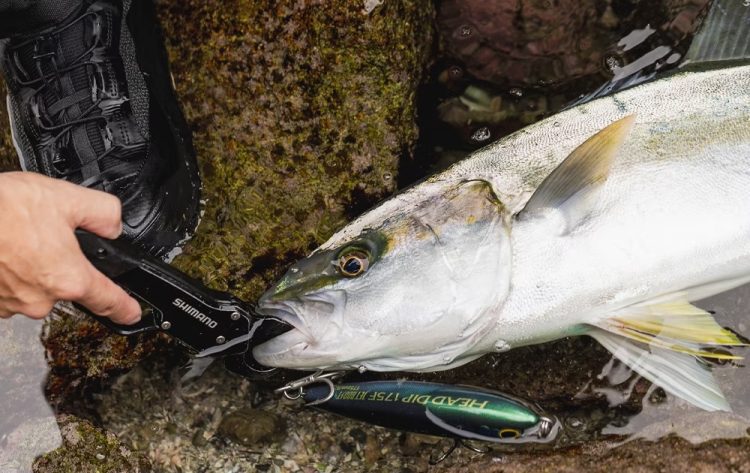 釣り用品のイメージ