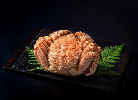 北海道ぎょれん 浜ゆで毛がに 500g 1尾