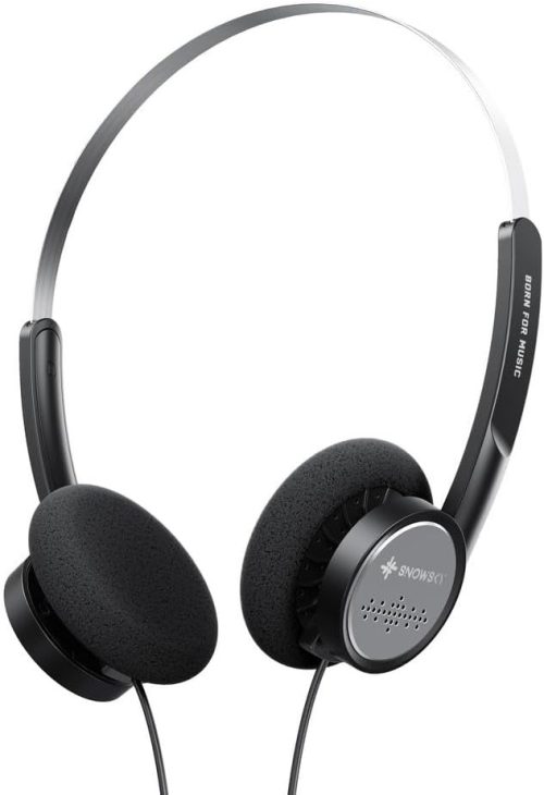 フィーオ(FiiO) Snowsky WIND