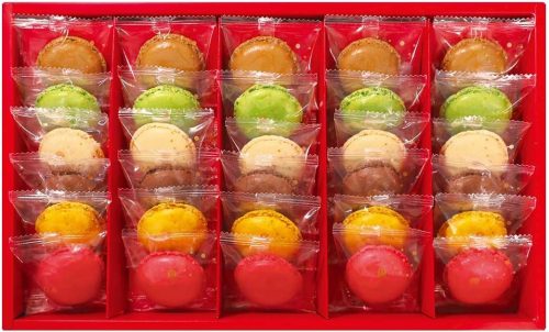 ダロワイヨ(DALLOYAU) マカロンラスク 30枚入り