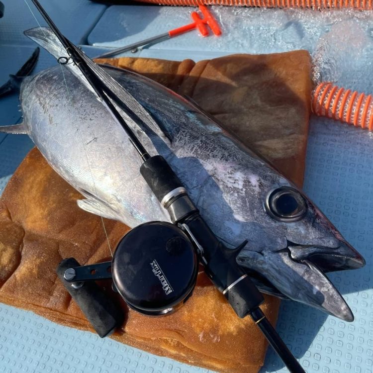 ロッドのイメージ