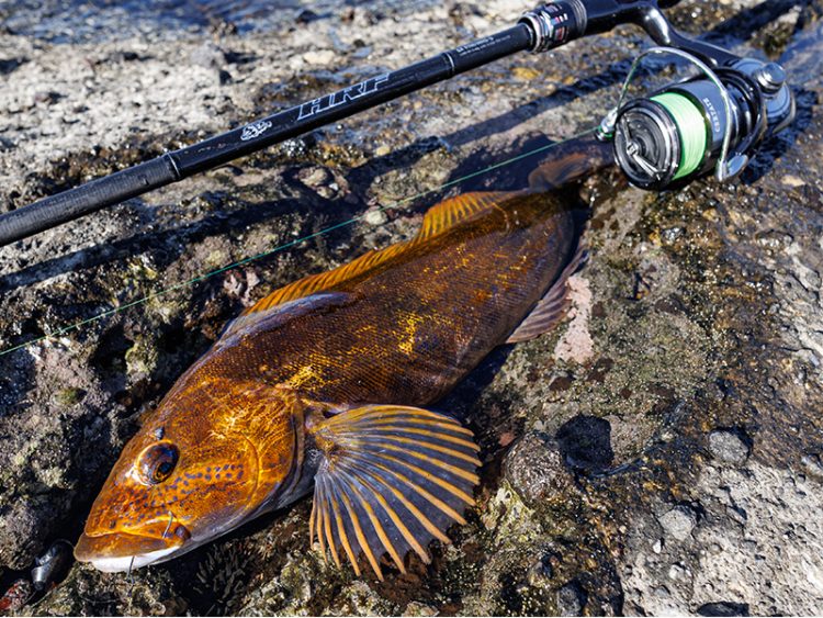 釣りのイメージ