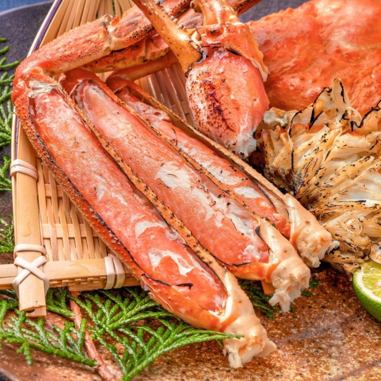 魚介類のイメージ