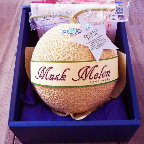 アグリファーム高知 夜須のエメラルドメロン 1玉
