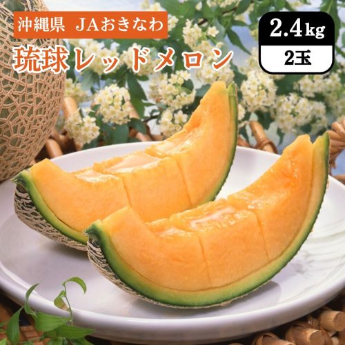 全農食品 沖縄県産 琉球レッドメロン 2玉