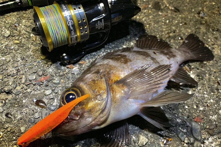 リールのイメージ