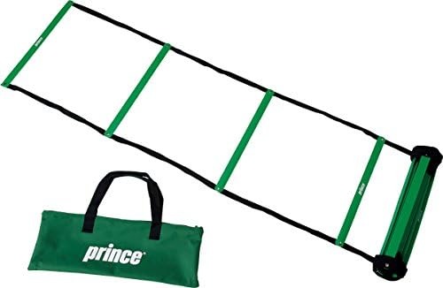 プリンス(Prince) ラダー PL080