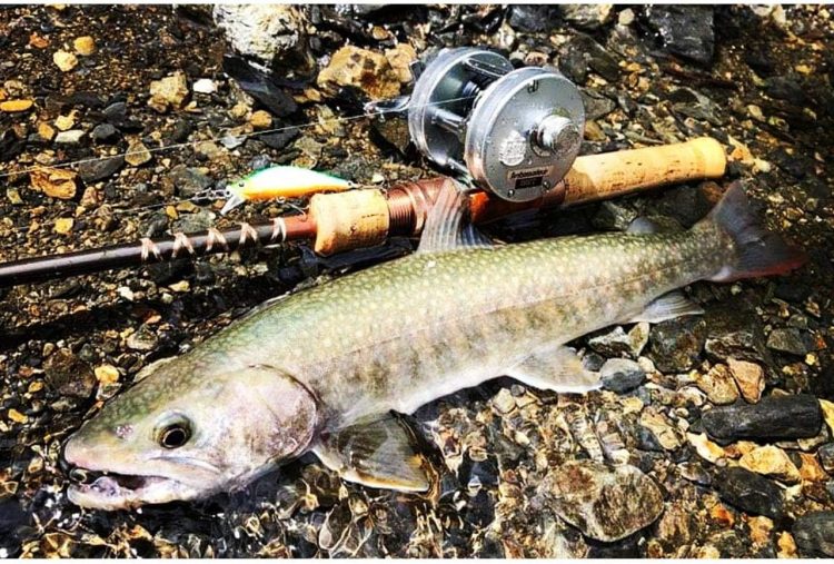 ロッドのイメージ