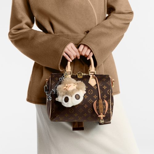 ルイ・ヴィトン(LOUIS VUITTON) スピーディ･バンドリエール 25