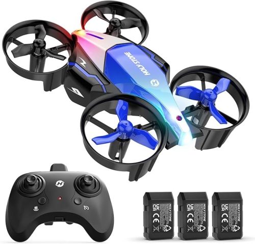 ホーリー・ストーン(Holy Stone) ドローン 100g未満 HS210F