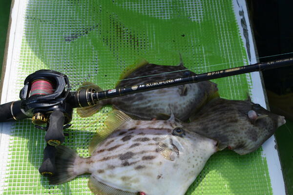 ロッドのイメージ