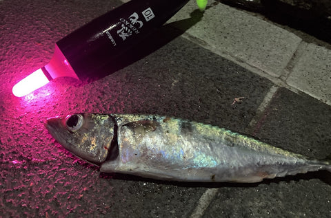 釣り用品のイメージ