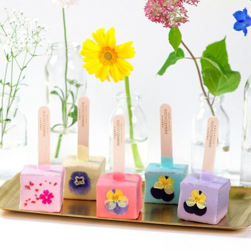創作和洋菓子花えちぜん エディブルフラワーロリポップ 5本入