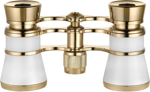 エッシェンバッハ(ESCHENBACH) スワン 4443-1