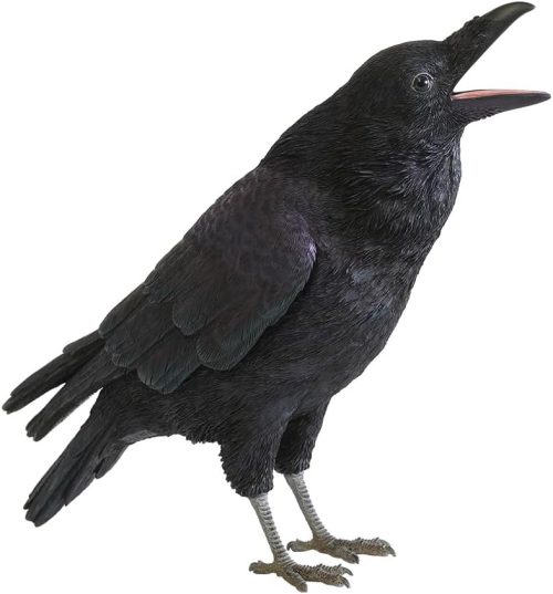 magnet PET BANK ジャングルクロウ 57800