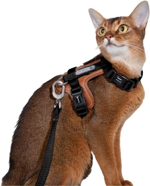 Lucky Friends 猫 ハーネス リードセット