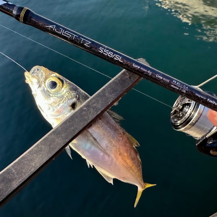 ロッドのイメージ