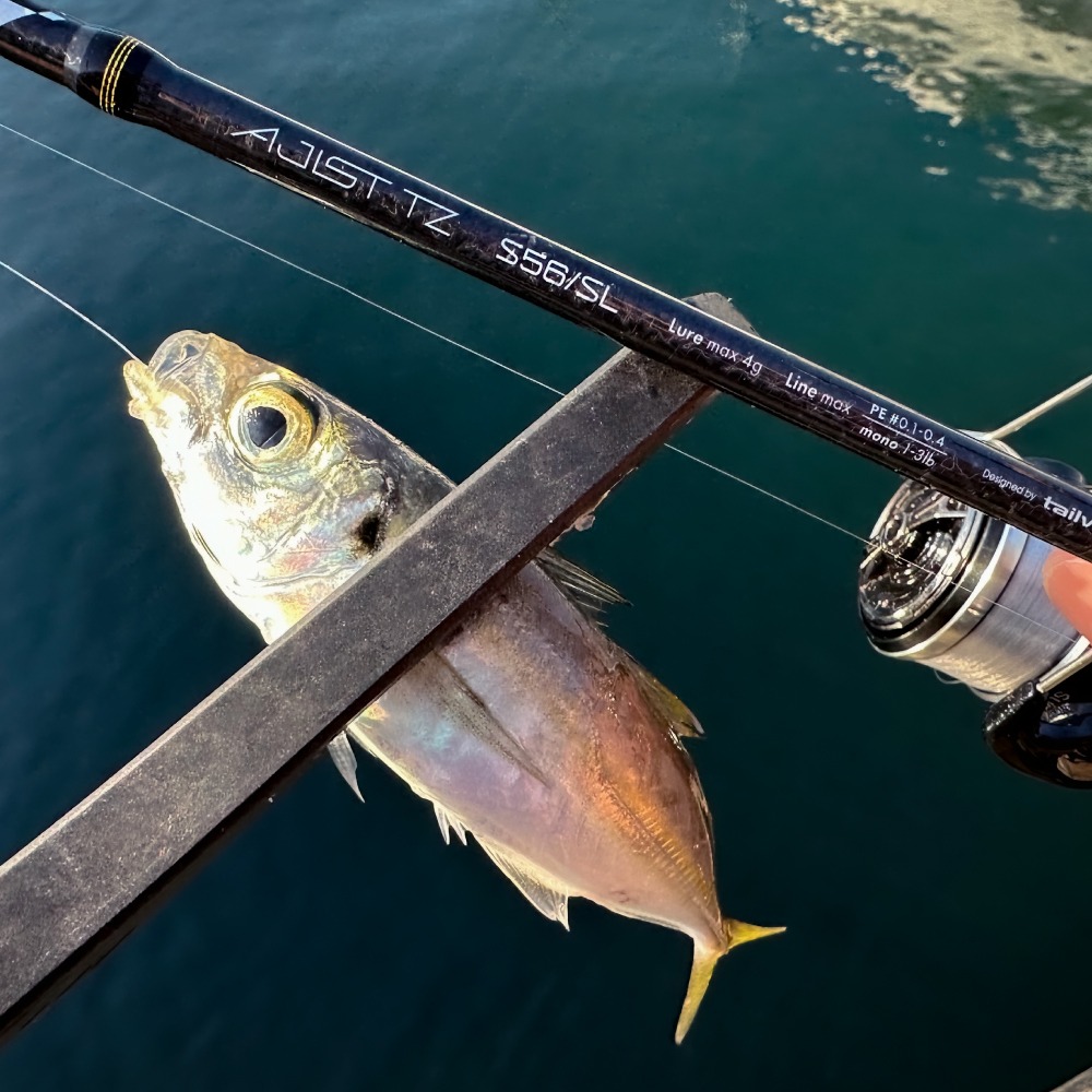 2026年版】アジングロッドのおすすめランキング55選。注目は感度の高さ