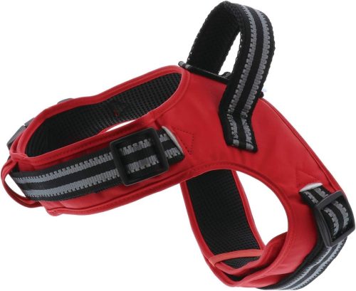 ペティオ(Petio) ラブハーネ