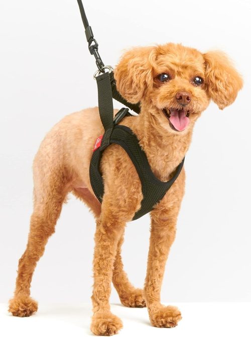 アニフル(anifull) 気管にやさしい犬の散歩用ハーネス アニサポ ハーレスト