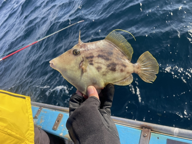 釣り用品のイメージ