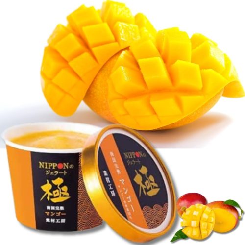 ドリームジャパン NIPPONのジェラート極 マンゴージェラート