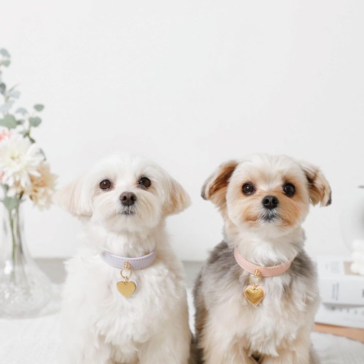 カジノ バカラ攻略法品のイメージ