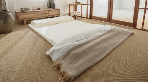 ブレインスリープ(BRAIN SLEEP) ブレインスリープ マットレス フロート