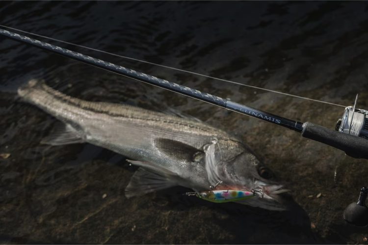 釣りのイメージ