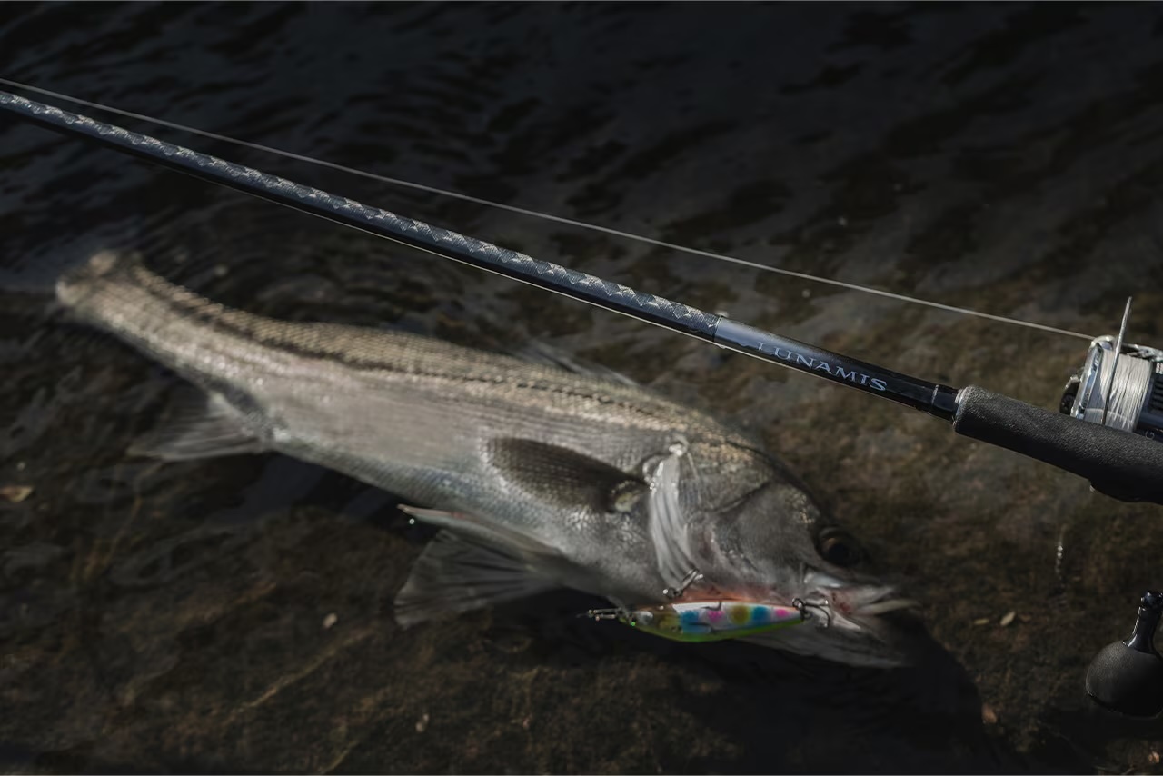 2026年版】シーバスロッドのおすすめ38選。選び方についてもご紹介