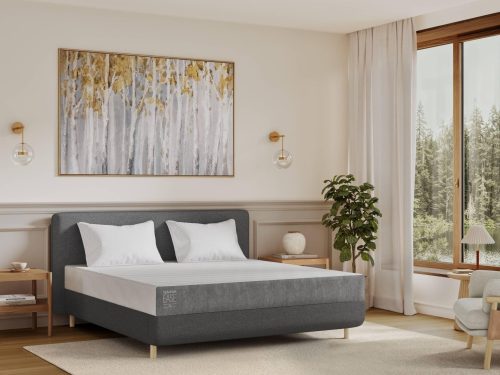 テンピュール(TEMPUR)