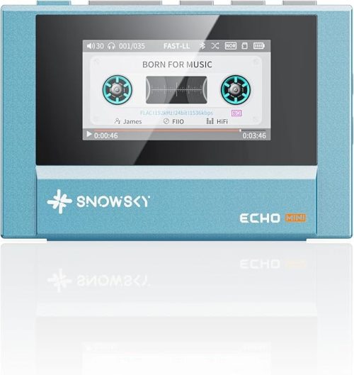 フィーオ(FiiO) Snowsky ECHO MINI